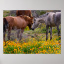 Search for horse art Wild horses