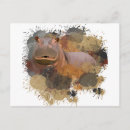 Search for hippos postcards Wildlife