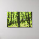 Search for fresh canvas prints Trees