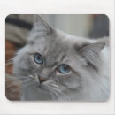 Search for blue eyes mousepads Beautiful