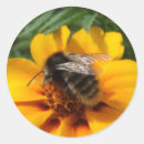Search for bee image stickers Insect