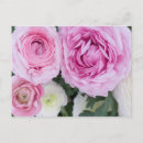 Search for multi region photography Flora
