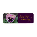 Search for pansy flower return address labels Pink