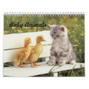 Search for cute kitten calendars Puppy