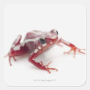 Search for dart frog stickers Cold blooded