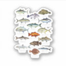 Search for hooked on fishing stickers Fishermen