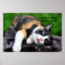 Search for calico cat posters Funny