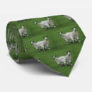 Search for sheep lamb ties Animals