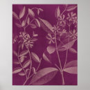 Search for radiant posters Orchid