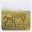 Search for for kentucky derby stickers Cowboy