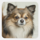 Search for fluffy dog stickers Cute