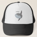 Search for common hats Fish