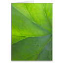 Search for leaf vein postcards Veins