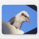 Search for kookaburra mousepads Australia