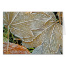 Search for frozen Trees