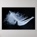 Search for feather angel posters Feathers