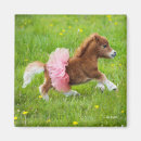 Search for ponies magnets Adorable