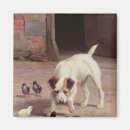 Search for confrontation Dog