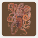 Search for aquatic animal stickers Octopus
