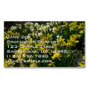Search for daffodil business cards Flower