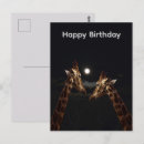 Search for full moon birthday cards Wildlife
