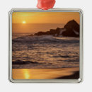 Search for sur christmas tree decorations Beach