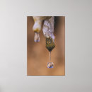 Search for drip canvas prints Drop