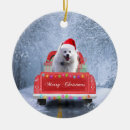 Search for american eskimo dog christmas tree decorations Animal
