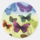 Search for large butterfly stickers Butterflies