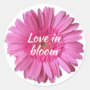 Search for gerber labels Girly