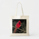 Search for red tree bags Bird
