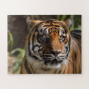 Search for face puzzles Animal