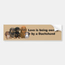 Search for dachshund bumper stickers Dogs