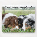 Search for blue merle mousepads Aussie