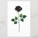 Search for botany flyers Rose
