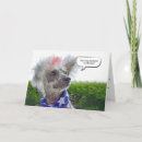 Search for funny chinese cards Pet