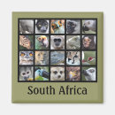 Search for mammals magnets Wildlife