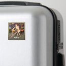 Search for bearer magnets Zodiac