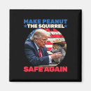 Search for tru magnets Election