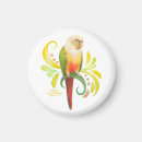 Search for conures magnets Bird