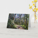 Search for walkways cards Trees