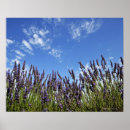 Search for summer sky posters Purple