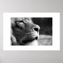 Search for profiling posters Animal