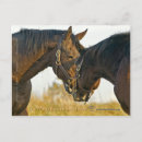 Search for touching postcards Horse
