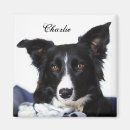 Search for border collie magnets Farm