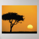 Search for africa silhouette posters Tree
