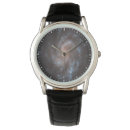 Search for cosmology watches Astronomy