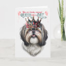 Search for shih tzu birthday cards Pets