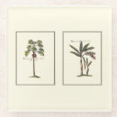 Search for framed coasters Botanical