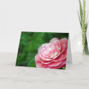 Search for macro photography cards Floral